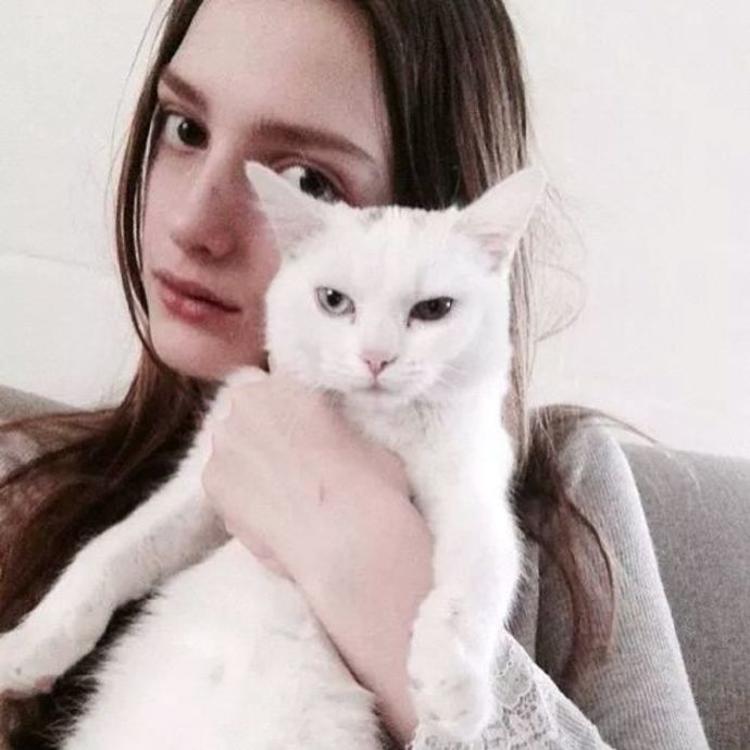 energyedhome@Dashiell